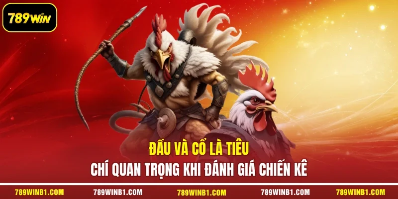 Đầu và cổ là tiêu chí quan trọng khi đánh giá chiến kê