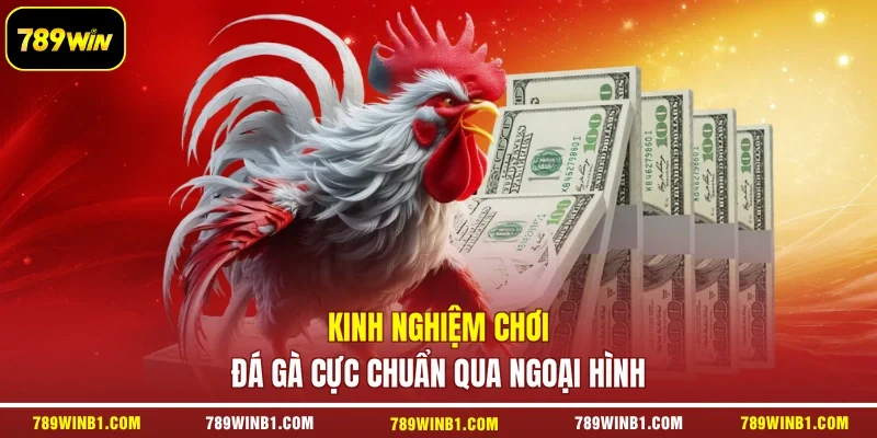 Kinh nghiệm chơi đá gà cực chuẩn qua ngoại hình