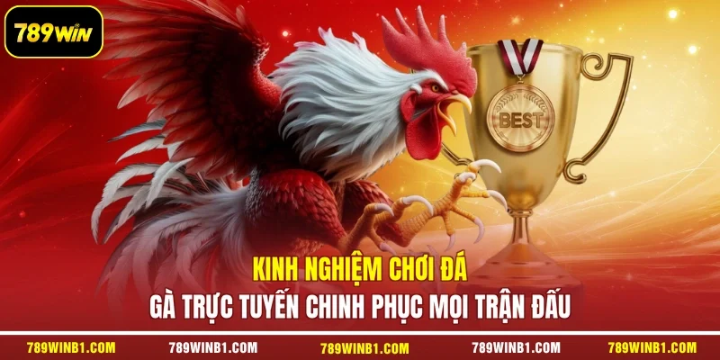 Kinh Nghiệm Chơi Đá Gà Trực Tuyến Chinh Phục Mọi Trận Đấu