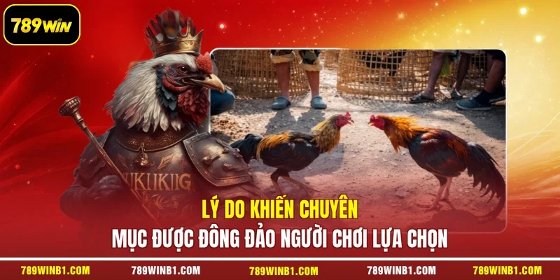 Lý do khiến chuyên mục được đông đảo người chơi lựa chọn