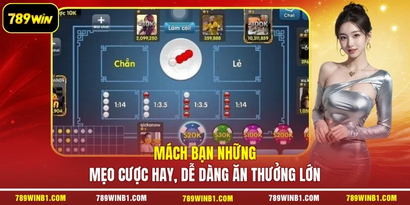 Mách bạn những mẹo cược hay, dễ dàng ăn thưởng lớn