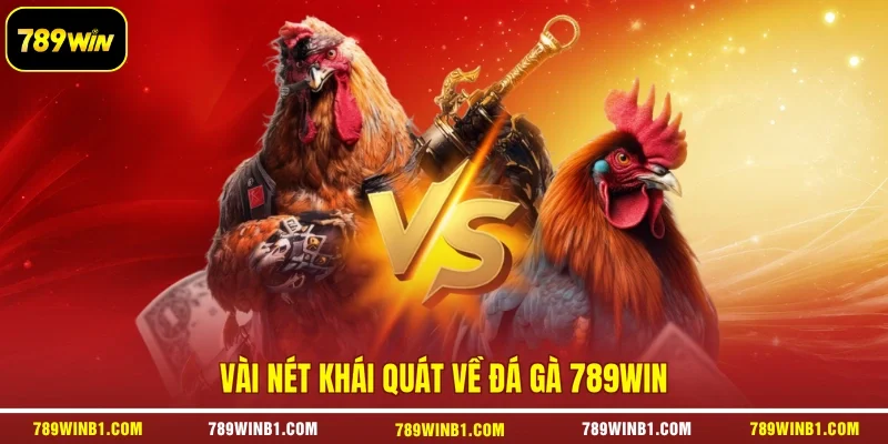 Vài nét khái quát về đá gà 789win